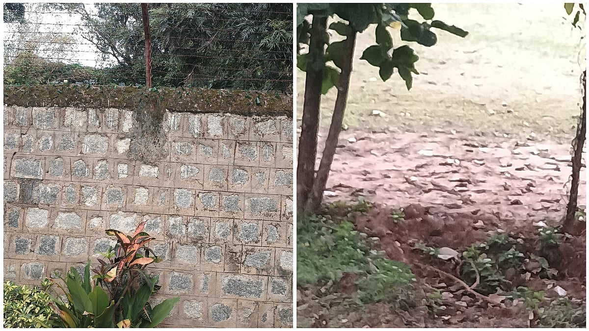 A social media user said on X that she witnessed the incident but could not help due to the walls.

 - X/@smarthari
